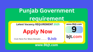 Punjab Government requirement