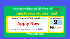 punjabsacs requirement